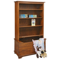 Bookcase With Toy Box
