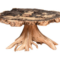 Burl Coffee Table