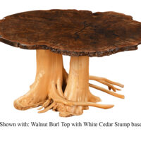 Burl Coffee Table - Image 5