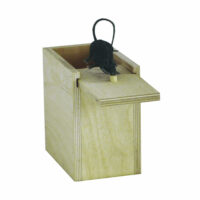 Mouse Box - Image 2
