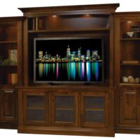Berlin Plasma Wall Unit