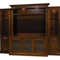 Berlin Plasma Wall Unit