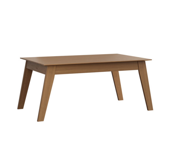 Astro Leg Table